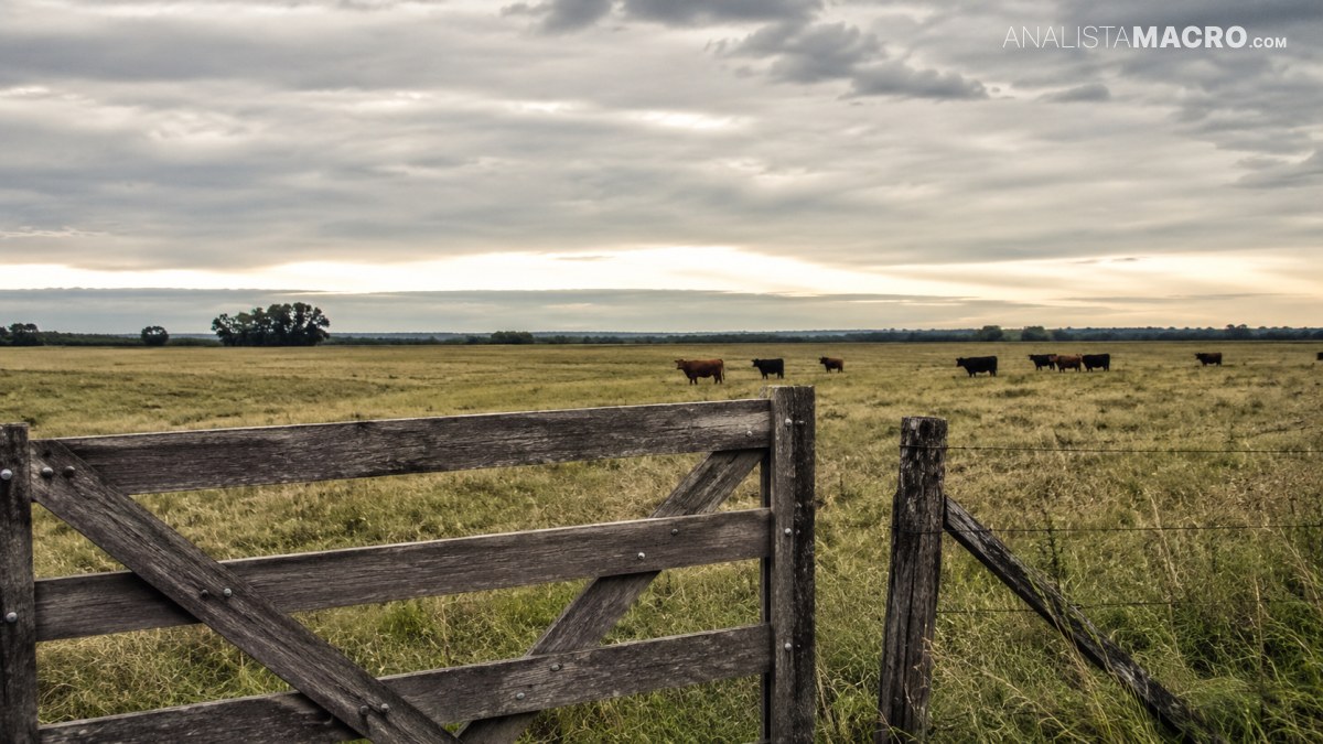 El Senado frenó la apertura de tierras rurales a extranjeros y mantuvo el tope del 15%